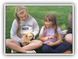 Puppies